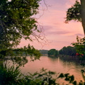 Rural Kentucky in early July